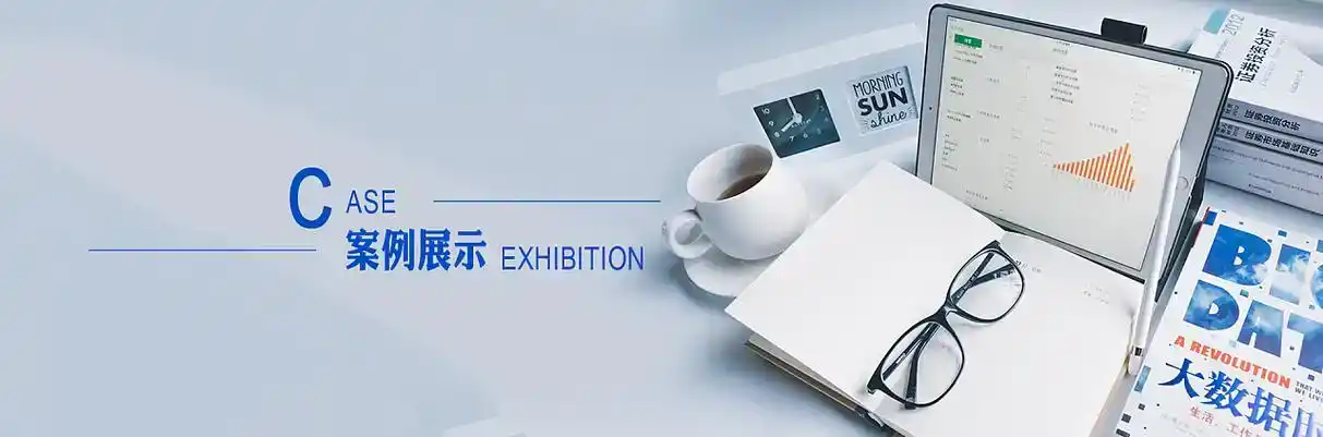 隰县软件开发